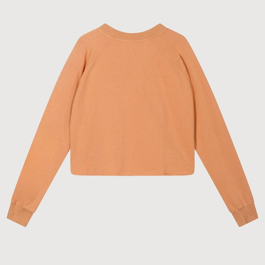 10 Days Damen Sweatshirt Icon Sweater 20-813-3201 in Terra