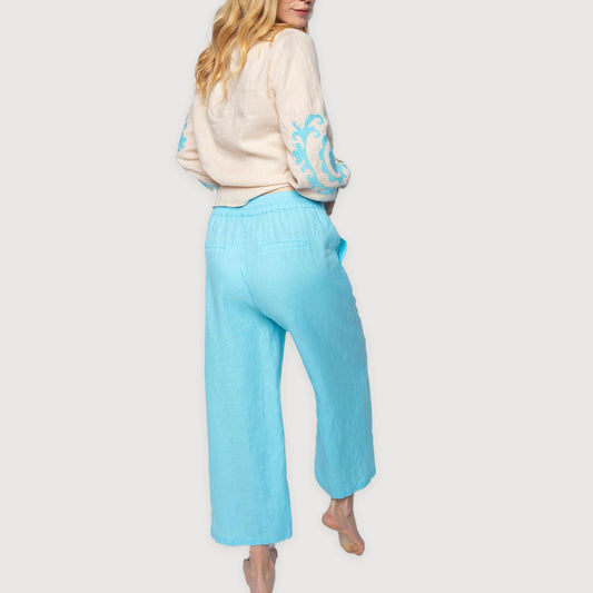 Emily-van-den-Bergh-Hose-6362-201321-602-aqua-2